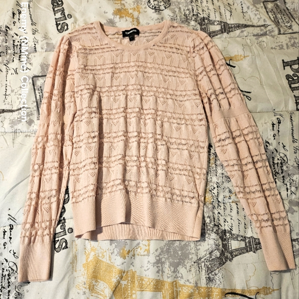 Large Express Pink Sweater